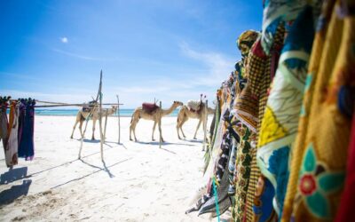 DIANI BEACH, Bienvenue au paradis !