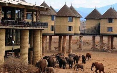Le Salt Lick Safari Lodge à Tahita Hills