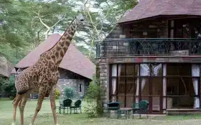 Lodge Sopa Naivasha Resort